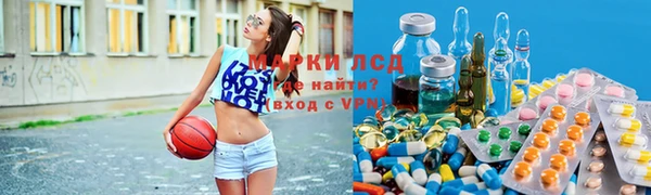 индика Нягань