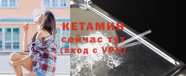 индика Нягань