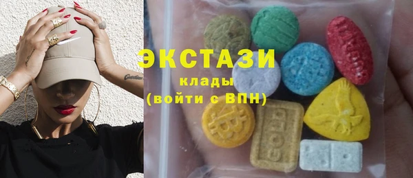 индика Нягань