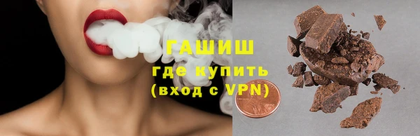 индика Нягань