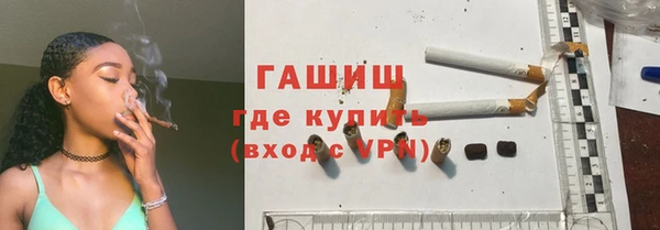 индика Нягань