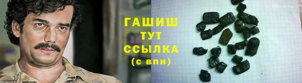 индика Нягань
