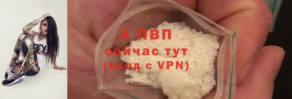индика Нягань