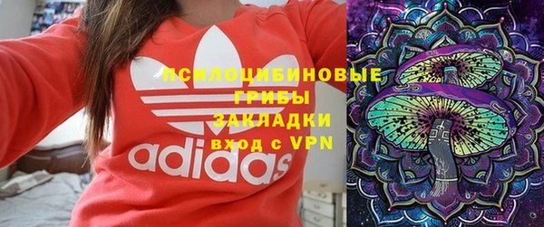 трава Нязепетровск