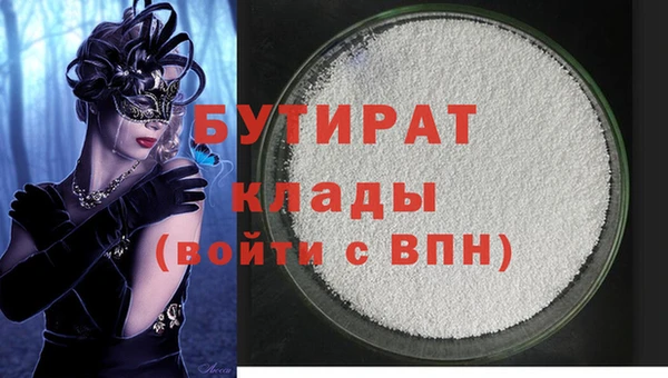 индика Нягань