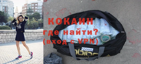 индика Нягань