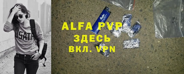 индика Нягань