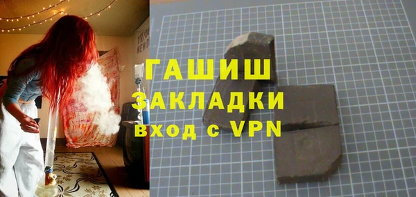 индика Нягань