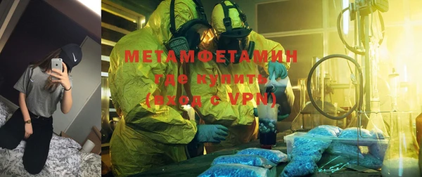 индика Нягань