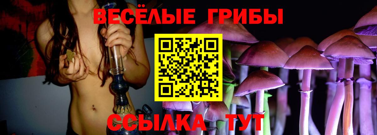 Псилоцибиновые грибы ЛСД  Галлюциногенные грибы Magic Shrooms  Гурьевск  Вход с VPN 